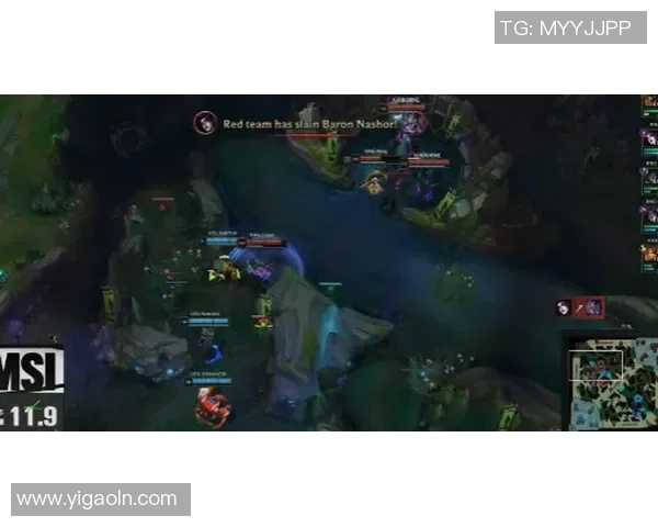 DOTA2深度解析TES战队的运营策略与战术布局全景揭秘