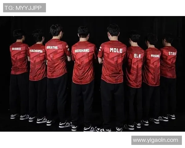 WE战队个人能力深度分析与战术影响探讨 WE战队个人能力深度分析与战术影响探讨