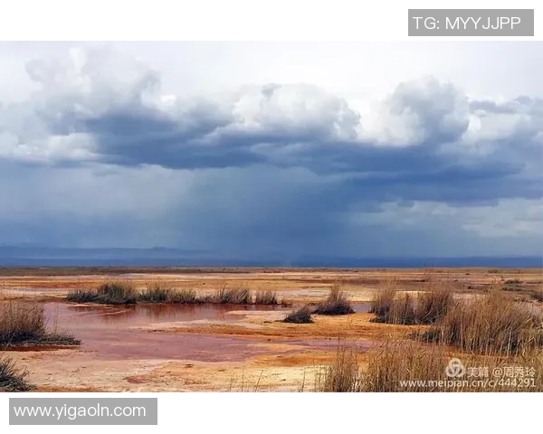 对话陈强:回顾足球生涯的起伏与梦想追寻 对话陈强:回顾足球生涯的起伏与梦想追寻
