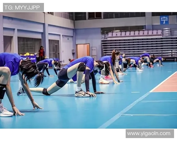 杭州排球队运营革新探索：提升竞技水平与商业价值的双重路径