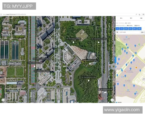 深圳排球队技术揭秘:从基础训练到战术运用的全景分析 深圳排球队技术揭秘:从基础训练到战术运用的全景分析