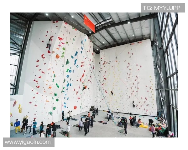 重庆攀岩队在全国攀岩意识排行榜中荣获第四名的佳绩引发关注